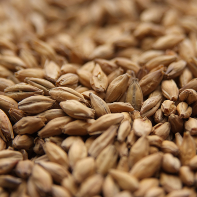 Malted Grains